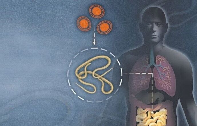 Parasitas no intestino humano