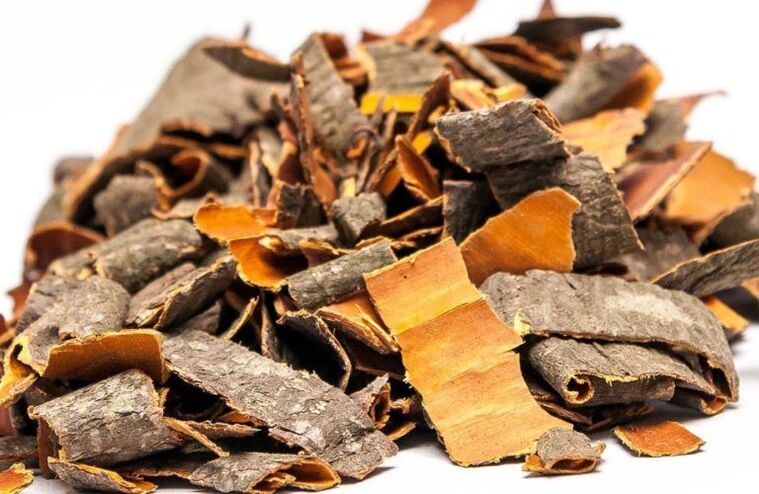 casca de álamo tremedor contra parasitas