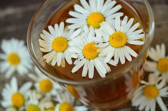 Infusão medicinal à base de camomila contra parasitas no corpo